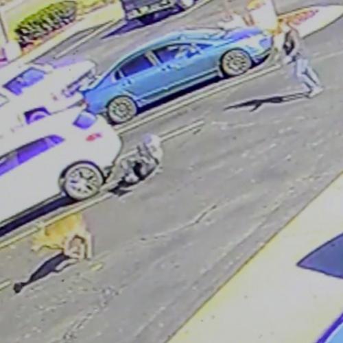 Homem é atacado por cervo em estacionamento do McDonald´s