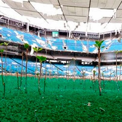 Estádio palco dos jogos do Brasil na Copa do Mundo de 1994 está jogado