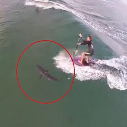 Esse surfista por muito pouco não morreu