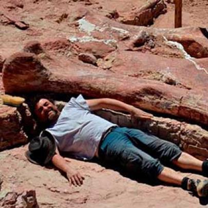 Descoberto o maior dinossauro que já habitou o planeta