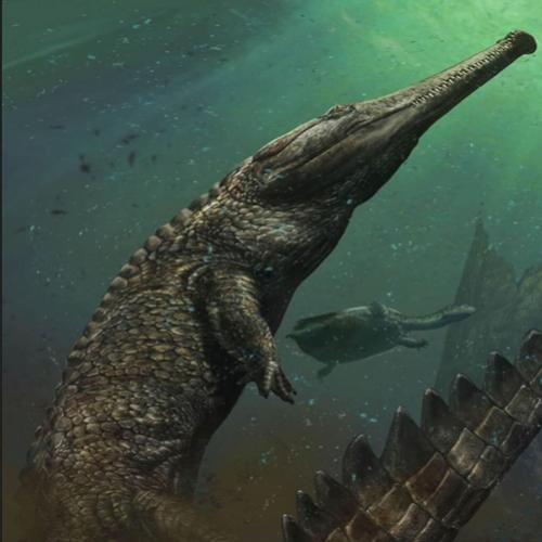 Descoberto mega crocodilo pré-histórico 