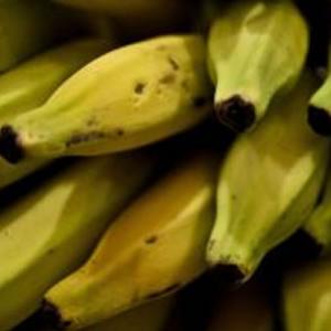  	  Casca de banana pode descontaminar águas poluídas com pesticida