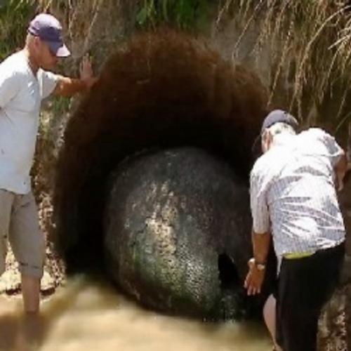 Um fazendeiro encontra um “ovo” de 90 cm em sua propriedade...