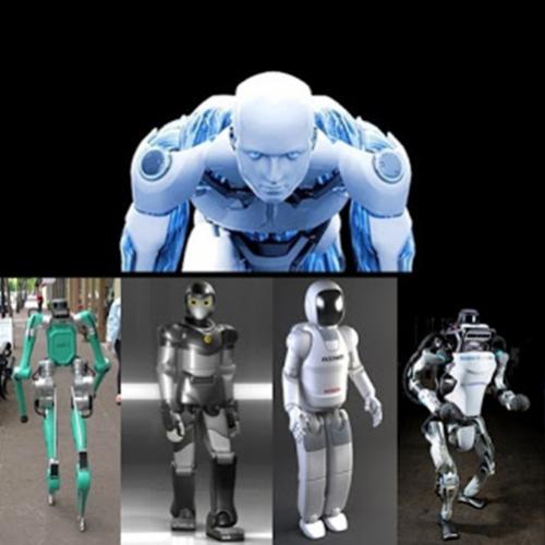 5 Robôs humanóides que mostram que o futuro já chegou