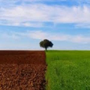 Impactos ambientais nos sistemas de agricultura