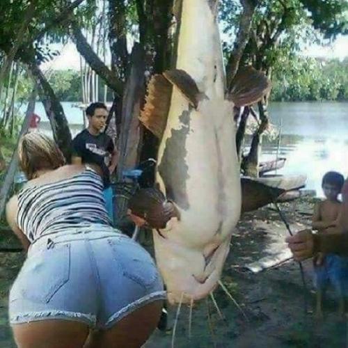 Cadê os pescadores pra falar que peixe é esse?
