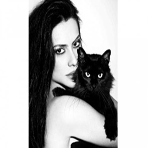 Gato preto: superstições Impressionantes 