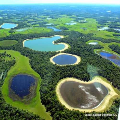 Para que serve o Pantanal?