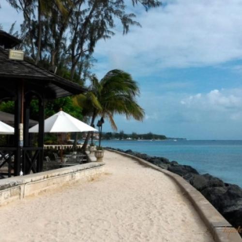 Guia de Viagem para conhecer Barbados - Caribe