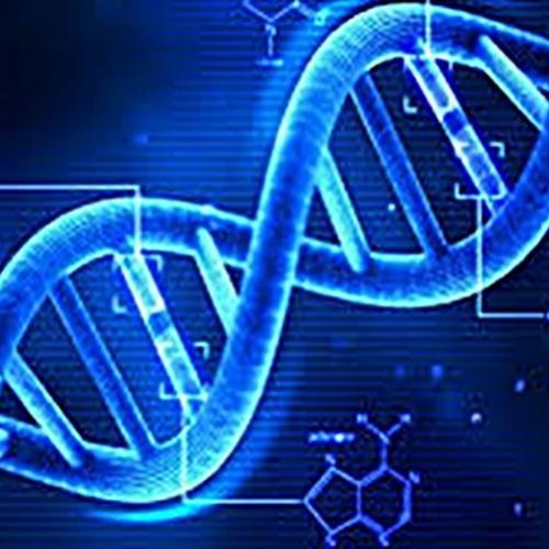O que acontece quando você ativa seu DNA?