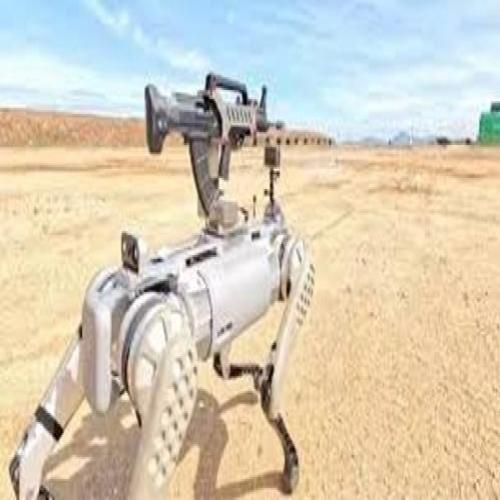 Cão-robô armado com metralhadora: como funciona a nova arma da China m
