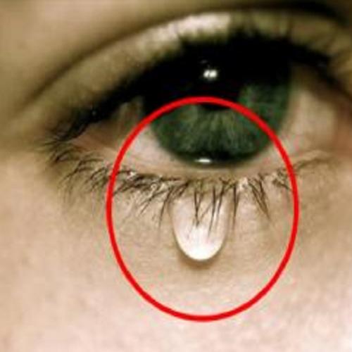 Ver lágrimas em um microscópio revela um fato muito chocante.