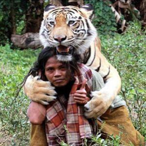  Homem cria amizade inusitada com tigre na Indonésia