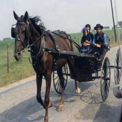 Como no século 18- O boom amish