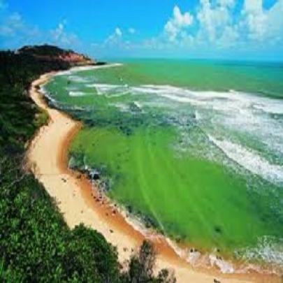 Pipa – Conheça essa Charmosa Praia no Litoral do Nordeste