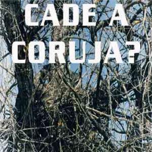 Corujas, Pousando Para Fotógrafos Corujas!