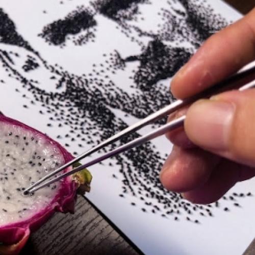 Artista desenha usando apenas sementes