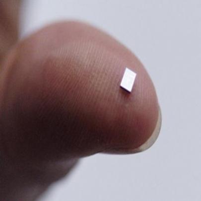Microchip será obrigatório em Bebês
