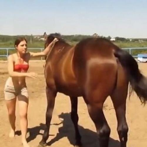 Este cavalo entendeu os problemas de uma mulher. Confere o momento!