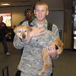 Encontro emocionante de soldados com seus cães após anos