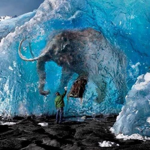 Encontrado corpo de mamute quase vivo