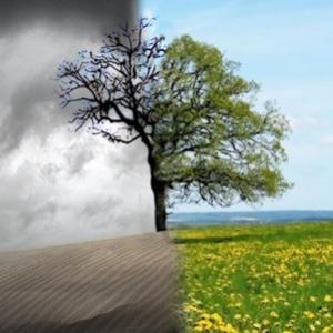 Filosofando: A Vida e a Morte
