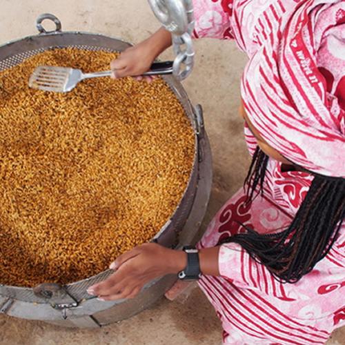 Arroz parboilizado preserva mais minerais que o branco polido