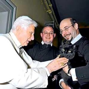 O Papa Emérito e os gatos