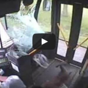 Como entrar em um onibus sem pagar!