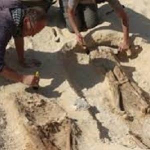 Cemitério egípcio com 3300 anos revela situação dos plebeus