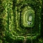 O túnel do amor existe!