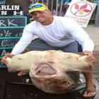 Americano fisga tubarão-martelo enorme e ganha prêmio de R$ 10,5 mil