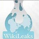 WikiLeaks Planeja Mover os servidores para fugir da lei dos EUA 