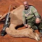 Astrália avalia extermínio de camelos