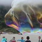 Você já viu bolhas de sabão gigantes na praia?