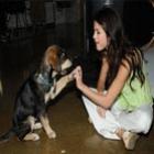 Conheça Baylor o cãozinho da cantora Selena Gomez