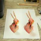 Quais dos dois coelhos é real e qual é uma simples impressão?