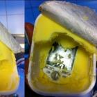 HTC Tattoo dentro de pote de margarina