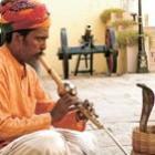 Mito ou Realidade: Cobras podem ser encantadas com flautas?