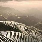 As incríveis imagens das plantações de arroz