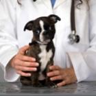 Hospital universitário: médica é demitida por entrar com cachorro na UTI