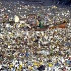 Você sabia que utilizam o oceano pacífico como depósito de lixo?