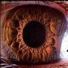O olho humano como você nunca viu.