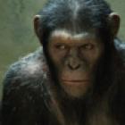 Rise of the Planet of the Apes - Como tudo foi feito