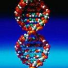 Poderia a vida evoluir a partir de um código químico diferente?