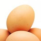 7 razões que você deve comer ovos