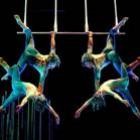 Cirque du Soleil em turnê pelo Brasil com o espetáculo Varekai