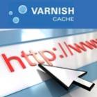 Varnish Cache deixa seu blog site 300x mais rápido