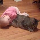Bebê brinca com gato incrivelmente paciente