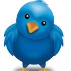 'Twitter' - 5 dicas para conseguir seguidores.